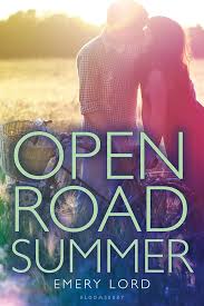 Book Cover for Open Road Summer